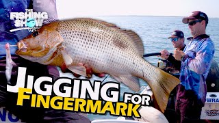 Fingermark  Fishing Golden Snapper on the Jig [upl. by Carin]