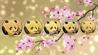 China Panda Gold Coins [upl. by Ias]