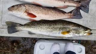 Steinhatchee FL fishing for Redfish and Trout in early February  John Sims Cooper City [upl. by Keviv]