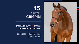 LOT 15 CAPITAL CRISPIN Capital Conlanc x Capital Homerus x Casall ASK [upl. by Oiluj]