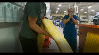 TAKING MY GIANT SNAKES To PetSmart  People Went CRAZY  Jurassic Elements [upl. by Lorine]