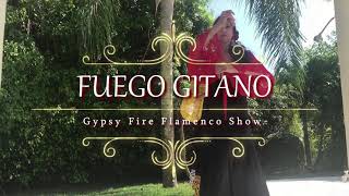 Gypsy Fire Rumba Gitano Shows [upl. by Gapin]