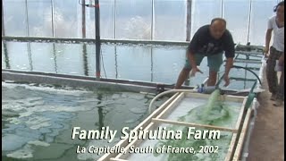 Family Spirulina Algae Farm in France • 2002 [upl. by Priscilla]