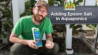 Adding Epsom Salt to Aquaponics Systems [upl. by Kannan642]