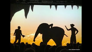 Amazing Shadows performed by Shadow Theatre Delight  Tour [upl. by Einahpetse774]