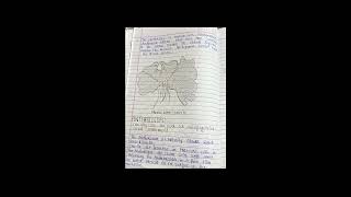 Pteridophytes Topic 5 Classification Morphologyanatomy And Reproduction Of Pteris [upl. by Notsahc]