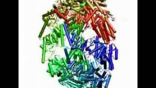 Chaperonin transition from open to closed conformation [upl. by Ridglee]