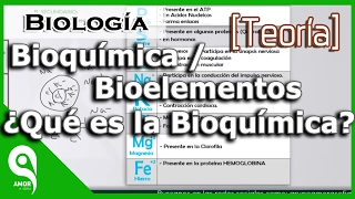 Biología  Bioquímica  Bioelementos ¿Qué es la Bioquímica 14 [upl. by Jephum]