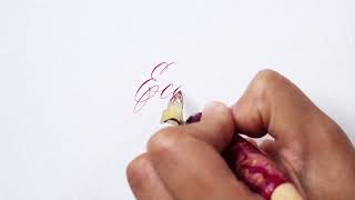 Learn How to Use Royal Talens Ecoline Liquid Watercolor for Calligraphy [upl. by Maryly]