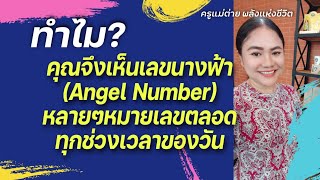 ทำไมคุณจึงเห็นเลขนางฟ้าหลายๆหมายเลขตลอดทุกช่วงเวลาของวันAngle Numberครูแม่ต่าย พลังแห่งชีวิต [upl. by Brena116]