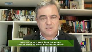 Gripe Aviária acende sinal de alerta no Brasil [upl. by Hosea]