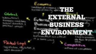 The External Business Environment [upl. by Ahsenyl]