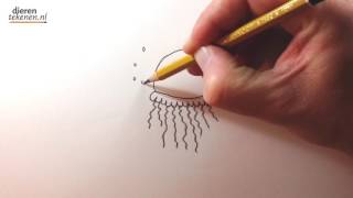 Dieren Tekenen teken een Kwal  how to draw a jellyfish [upl. by Segroeg628]