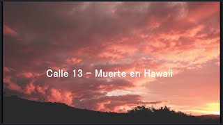 Calle 13Muerte en HawaiiLetraLyrics [upl. by Ewer]