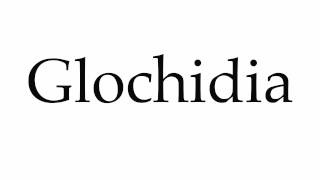 How to Pronounce Glochidia [upl. by Nyladnar129]