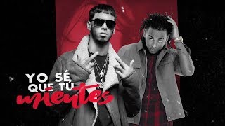 Ozuna FT Anuel AA  Bebe Lyric Video  Odisea [upl. by Ramey848]