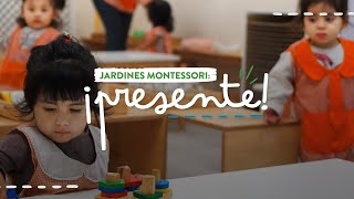 ¿Pedagogía Montessori PRESENTE [upl. by Ppik]