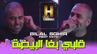 Bilal Sghir 2024 Galbi Bgha El Bayda 100liveڨلبي بغى البيضاء [upl. by Norrehc]