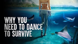 How to Survive Falling Into a Pool of Stingrays [upl. by Ninnetta979]