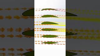 Air Flow over different Airfoils  Airfoil aerodynamics aeroplane airflow simulation animation [upl. by Tewfik]