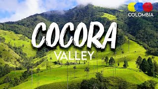 Vlog’colombie  cocora vallée [upl. by Lorene]