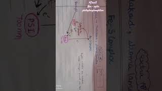 Light reaction  non cyclic photophosphorylation class11biology photosynthesisinhigherplants neet [upl. by Tyre]