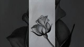 How to draw Rose easy 🌹🌹😍easy drawing shorts rose drawing [upl. by Dolhenty]