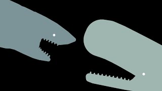 Shark vs Sperm Whale [upl. by Weiler]