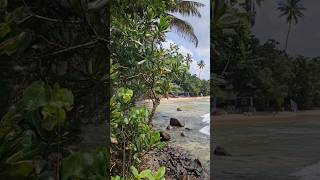 Taking In The Last Views Of Mirissa Beach Surfs Up 🏄‍♂️ Sri Lanka 🇱🇰 [upl. by Nnilsia437]