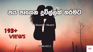 Paya Pagena Duwillak Tharamata  පය පෑගෙන දූවිල්ලක් තරමට  Slowed  Reverb  JV MUSIC  2023 [upl. by Skrap578]