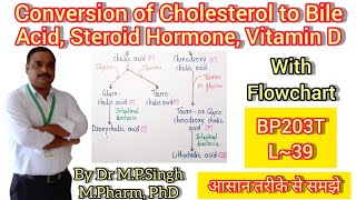 Conversion of Cholesterol to Bile Acids Steroid Hormone amp Vitamin D  Biochemistry  BP203T  L39 [upl. by Small861]