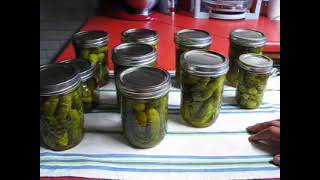 Canning Crock Canning Sweet Gherkin Pickles [upl. by Salomone]