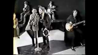 The Association  Windy Live 1967 [upl. by Reltuc]