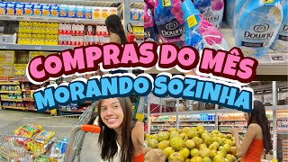 COMPRAS DO MÊS MORANDO SOZINHA  pós reforma comprei o básico🏠💖🛒✨ [upl. by Ettesel516]