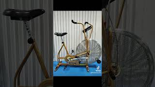 Schwinn Airdyne [upl. by Maren]