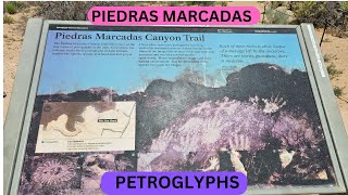 Piedras Marcadas Petroglyphs Canyon Fieldtrip [upl. by Aicittel]