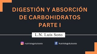 Digestión y absorción de carbohidratos Parte 1 [upl. by Wilfred]