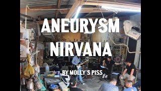 Aneurysm NIRVANA cover [upl. by Burkhart985]