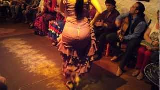 Flamenco Dance by Spanish Gypsies Part 1 [upl. by Sualk695]