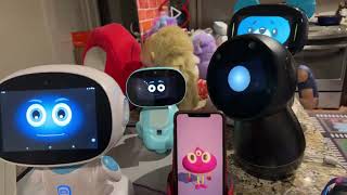 Jibo amp Friends  Mystery Unboxing Livestream Short But Sweet [upl. by Eahcim]