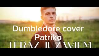 Patriko ft Rembol  Teraz już wiem Dumbledore cover [upl. by Roi224]