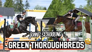 Jump Schooling Green Thoroughbreds 2nd Off Property Jump School [upl. by Senoj]