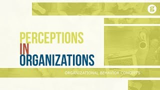 Perceptions in Organizations [upl. by Assilak]