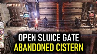 Sewer Cistern Sluice Gate Puzzle  Baldurs Gate 3 BG3 [upl. by Alecram101]