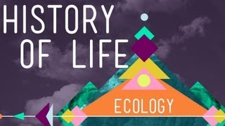 The History of Life on Earth  Crash Course Ecology 1 [upl. by Aloel]