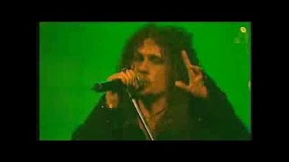 THERION  Son Of The Staves of Time OFFICIAL LIVE [upl. by Ecirtel335]