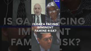 Israels UN representative denies IPC famine claim for Gaza while UN FAO argues famine risk [upl. by Llerroj]