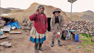 impresiónate A sus 90 Años VIVE SOLA con su Pareja en un inhóspito lugar de los Andes [upl. by Magel]