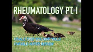 Rheumatology USMLE Step 2CK High Yield UWorld Audio Lecture Review video [upl. by Isaac]