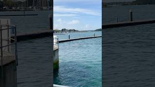 Beautiful Chichester Marina Walking Hiking [upl. by Tobie]